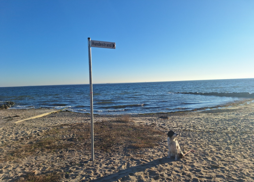 Strandzugang